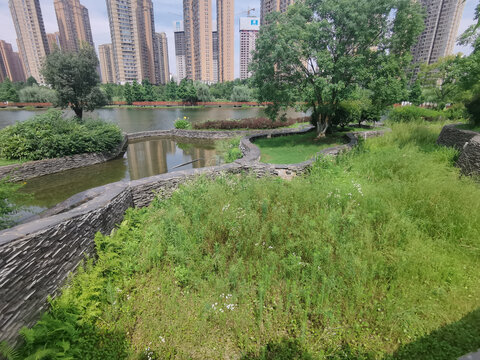 城市人工湿地公园