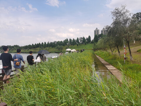 城市人工湿地公园