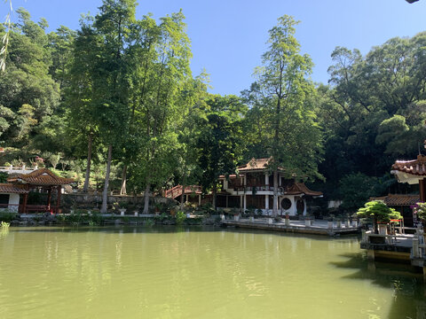 深圳仙湖植物园
