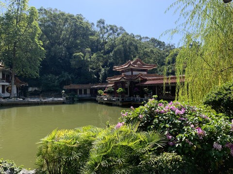 深圳仙湖植物园