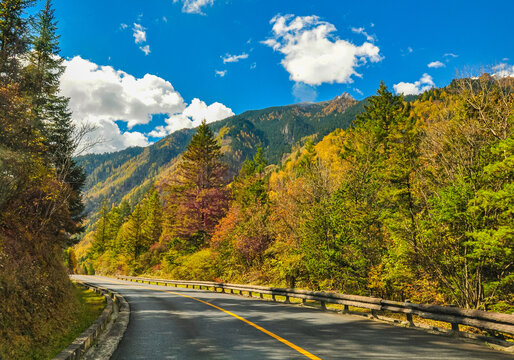 九寨沟原始森林秋景