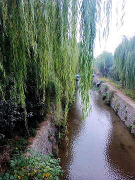 小溪流水