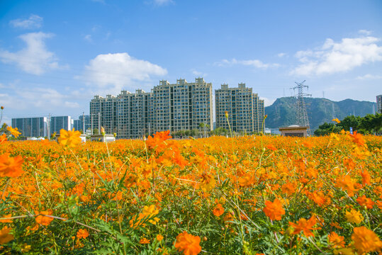 花园城市