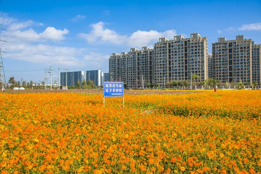 花园城市