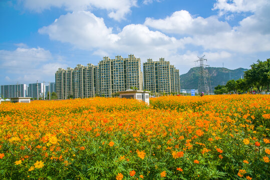 高端小区