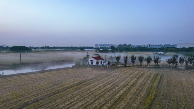 航拍晨雾中的稻田