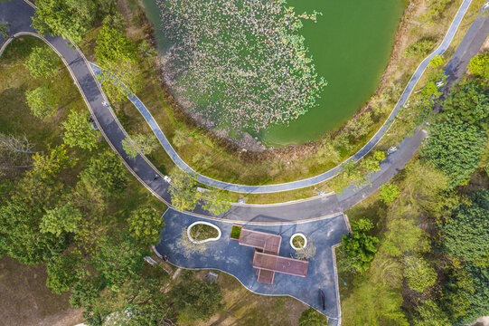 深圳国际低碳城蝴蝶湖
