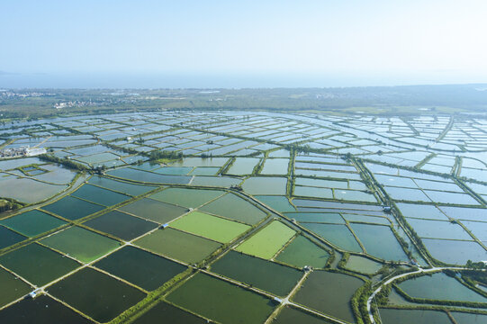 海水养殖基地