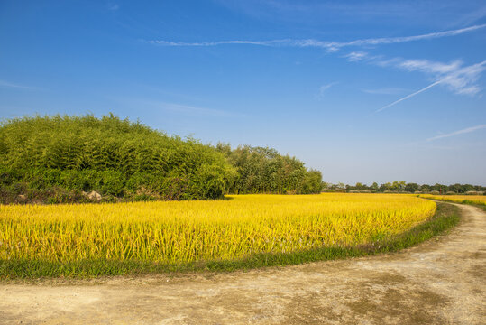 田园风光