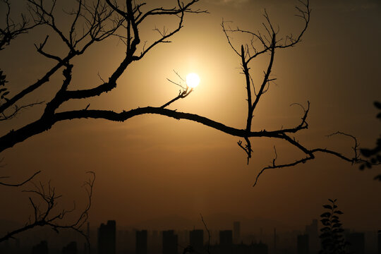 夕阳