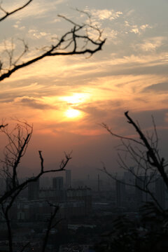 夕阳