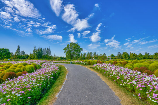 花园小路