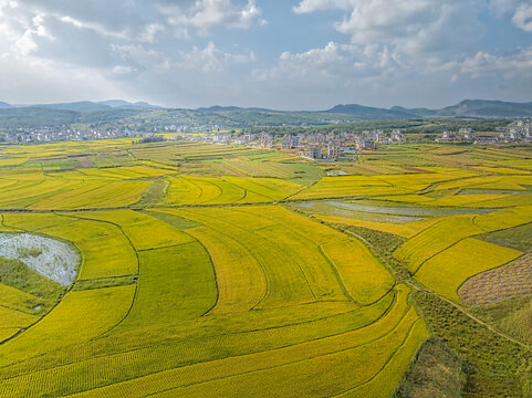 珠江流域湿地