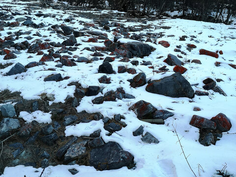 积雪