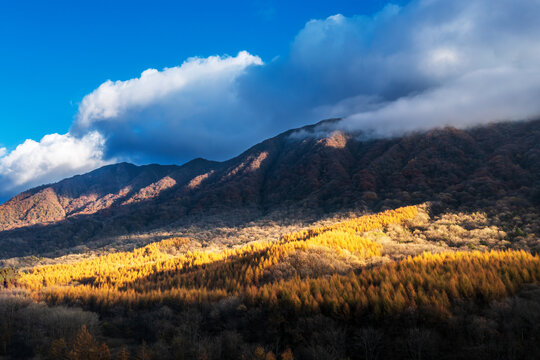 巴中光雾山