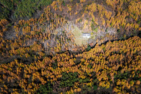 巴中光雾山