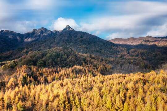 巴中光雾山