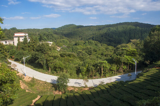 泉州罗山森林公园风景