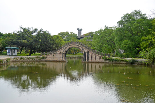 温州古桥
