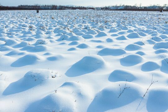 冬季湿地雪包雪馒头