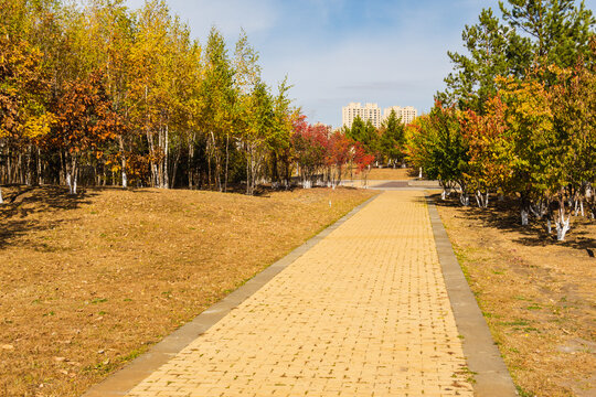 秋季公园小路