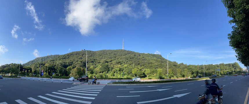 高端山景森林公园房产背景