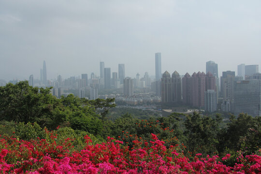 深圳莲花山公园