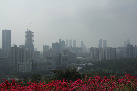 深圳莲花山公园