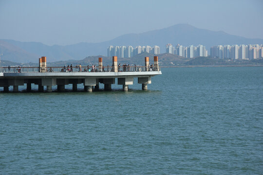 海岸观景台