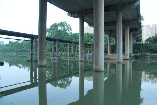 湖面上的高架桥