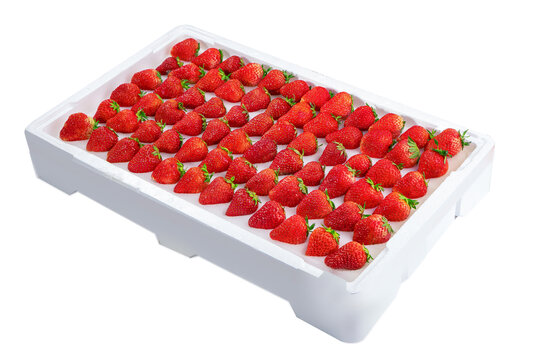 99草莓