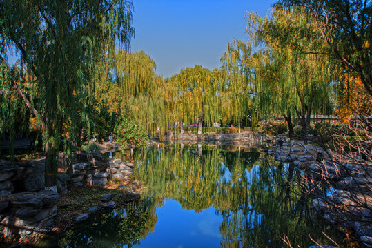 北京中山公园秋景
