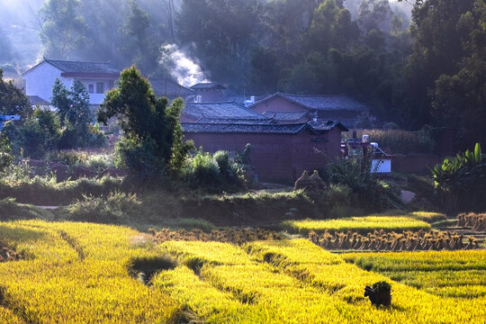 乡村振兴