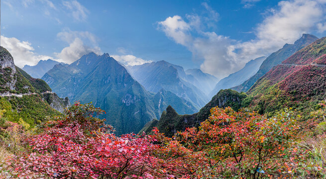 重庆巫溪兰英大峡谷红叶