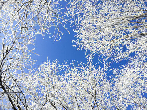 冬季的冰雪风光