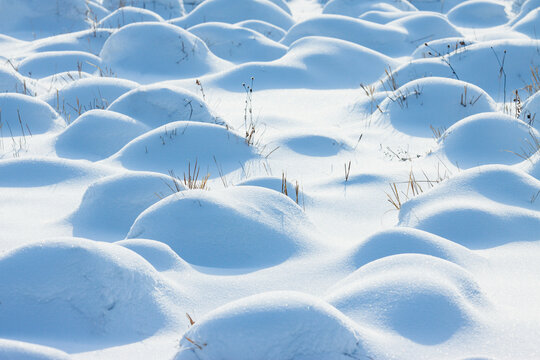 雪地雪包雪馒头