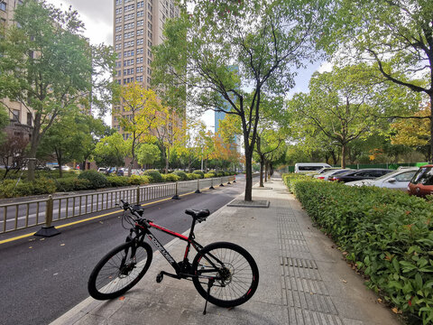 城市道路秋景