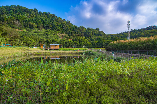 甘坑钓鱼场池塘