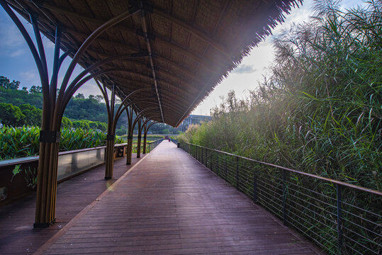 甘坑湿地公园