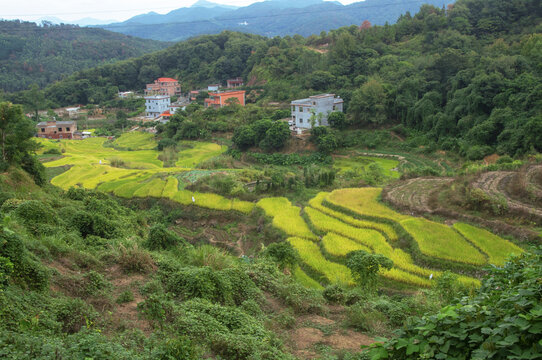 泉州南安金淘乡村田园