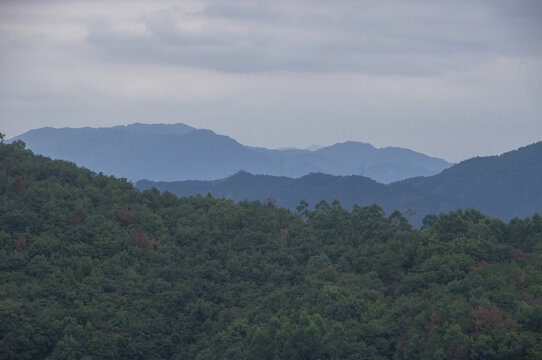 高山森林地理风光