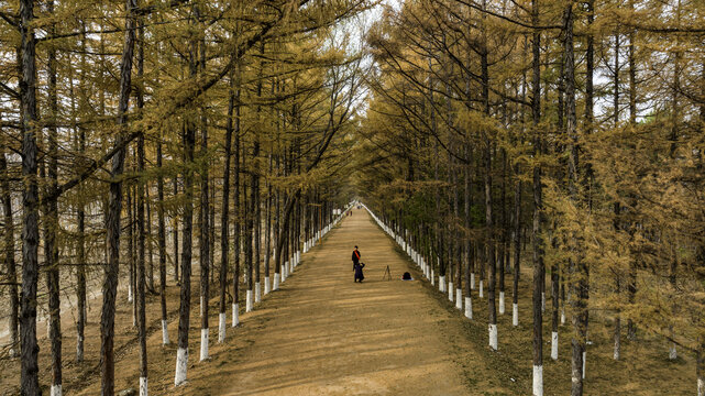 中国长春百木园秋季风景