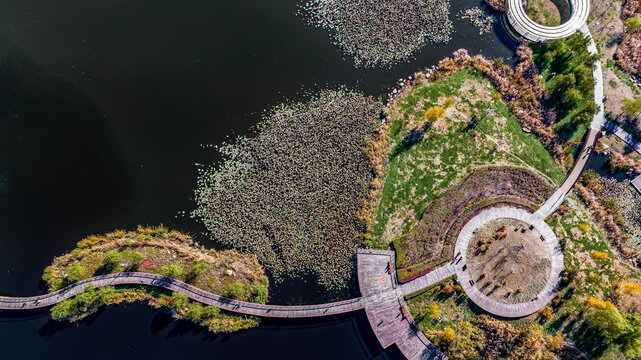 中国长春南溪湿地公园秋季风景