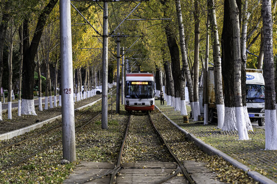 中国长春有轨电车与落叶景观