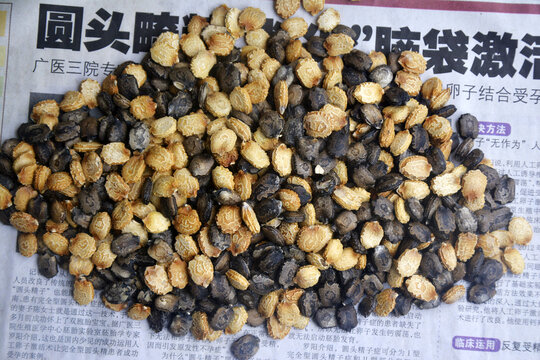 药材