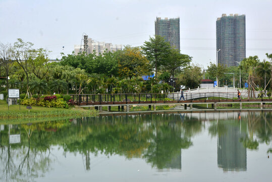 樱花岛