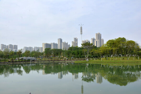 樱花岛