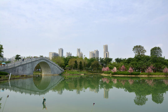 樱花岛