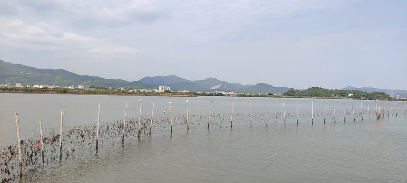 海鲜养殖