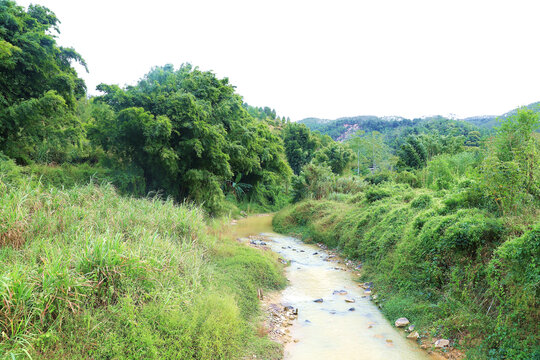 乡村自然风景